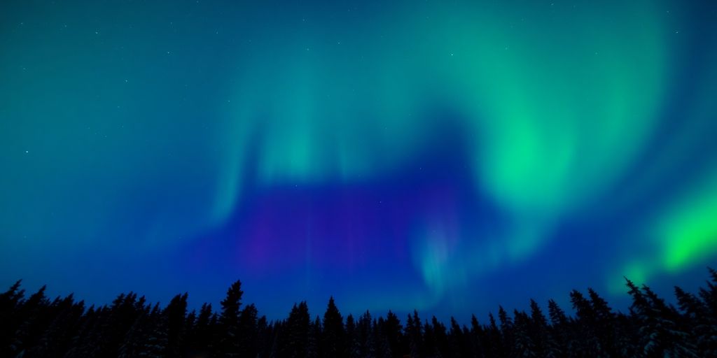 Nordlichter über kanadischer Winterlandschaft